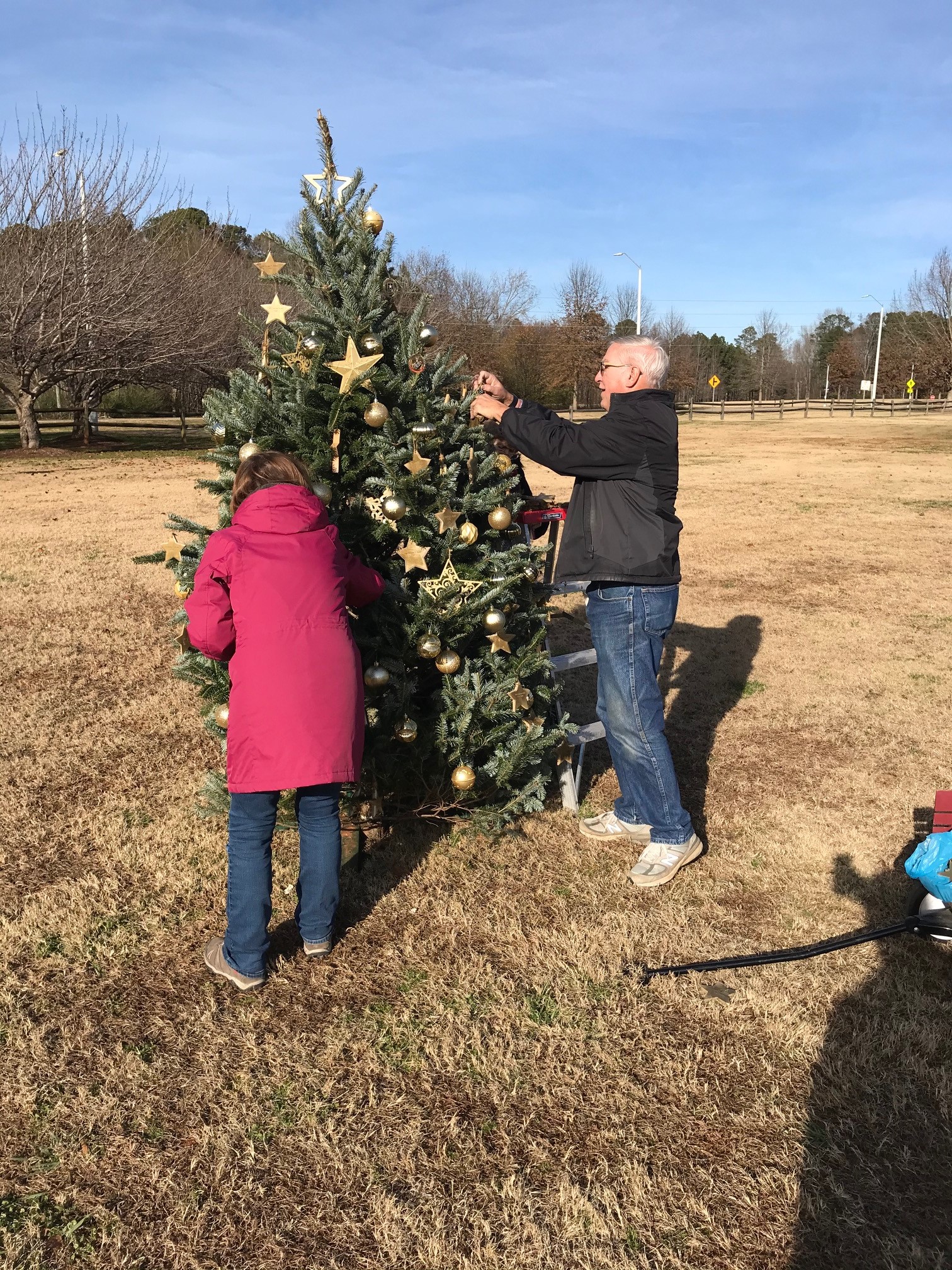 decorating the tree