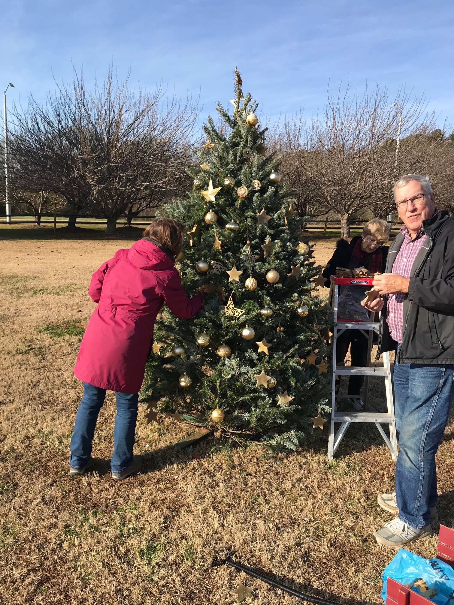 decorating the tree